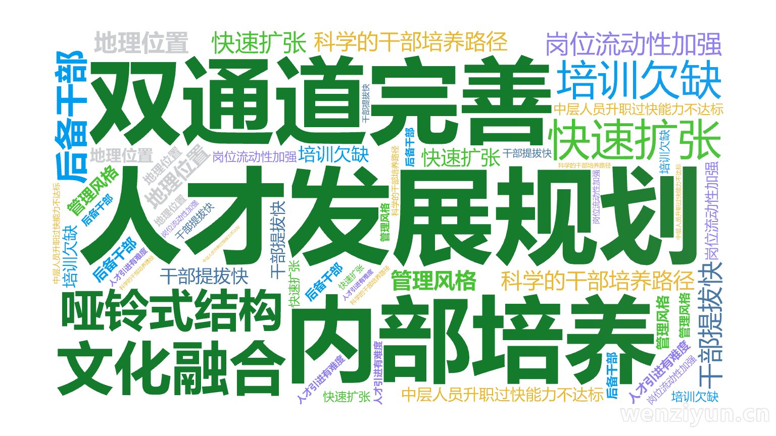 人才发展规划,双通道完善,内部培养,哑铃式结构,文化融合,后备干部,岗位流动性加强,科学的干部培养路径,快速扩张,干部提拔快,地理位置,培训,文字词云图-wenziyun.cn