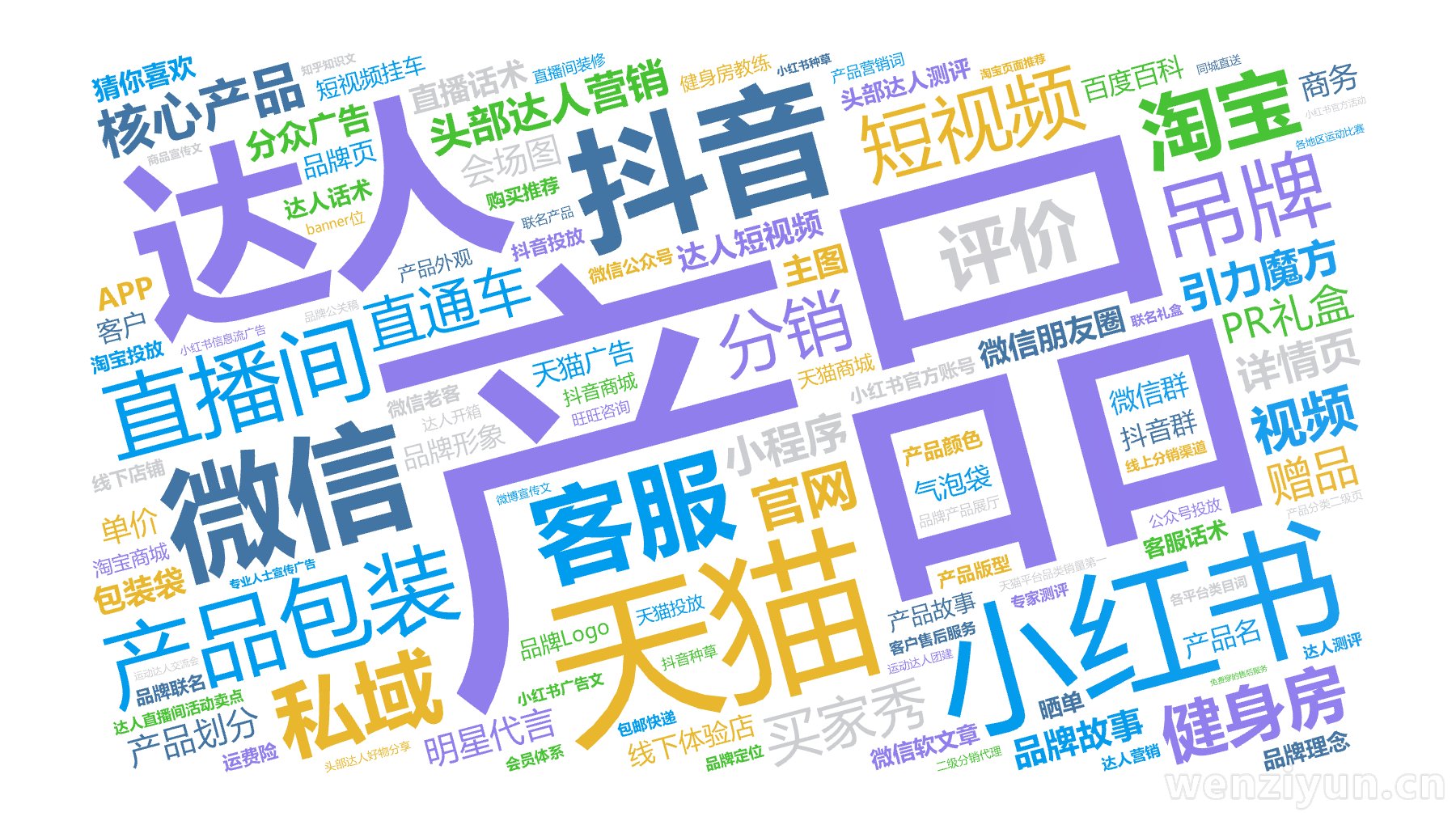 产品,达人,小红书,天猫,抖音,产品包装,微信,客服,直播间,短视频,私域,吊牌,评价,淘宝,健身房,核心产品,头部达人营销,买家秀,分销,,文字词云图-wenziyun.cn