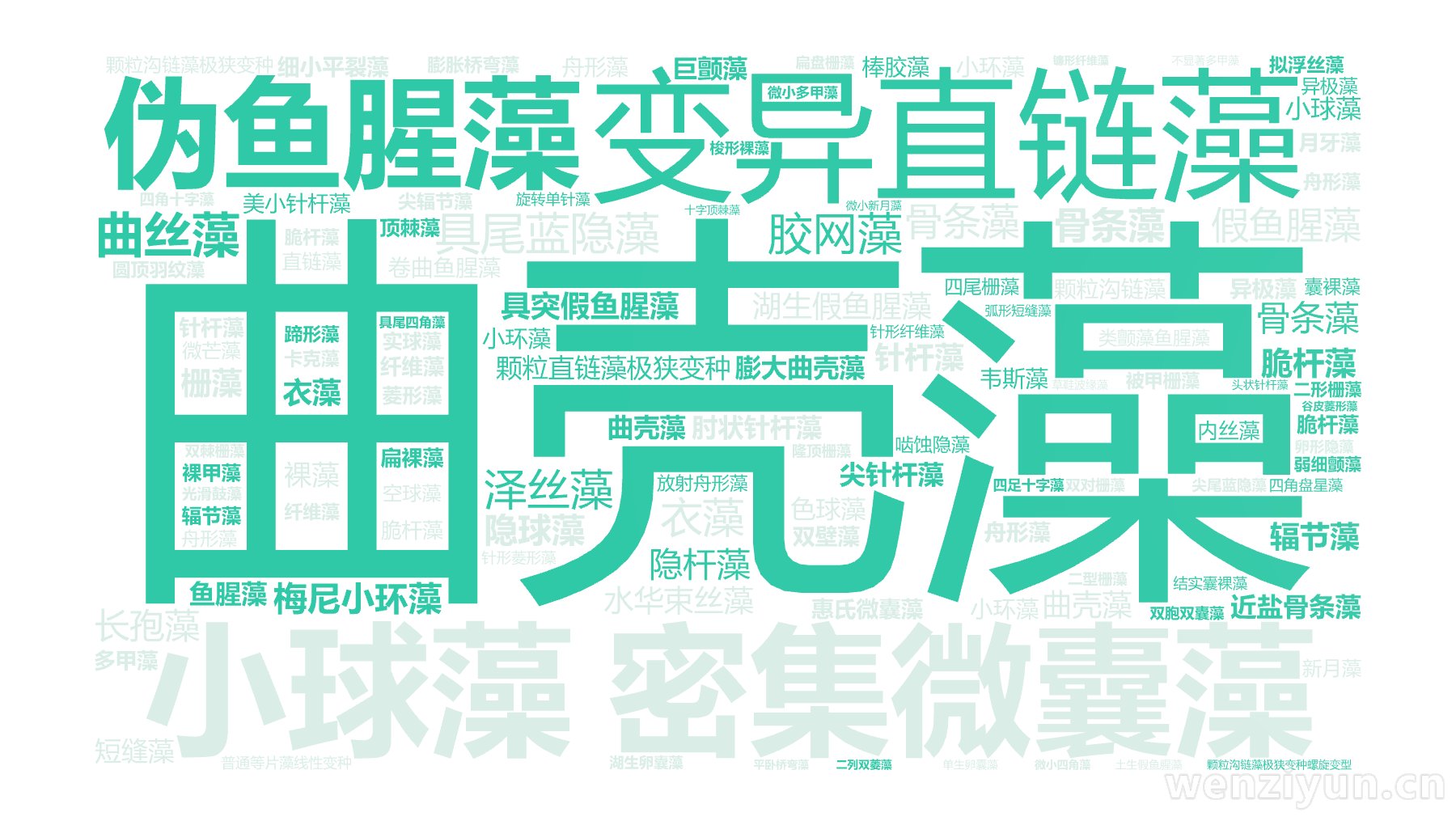 曲壳藻,变异直链藻,密集微囊藻,小球藻,伪鱼腥藻,具尾蓝隐藻,胶网藻,梅尼小环藻,湖生假鱼腥藻,假鱼腥藻,具突假鱼腥藻,曲丝藻,水华束丝藻,,文字词云图-wenziyun.cn