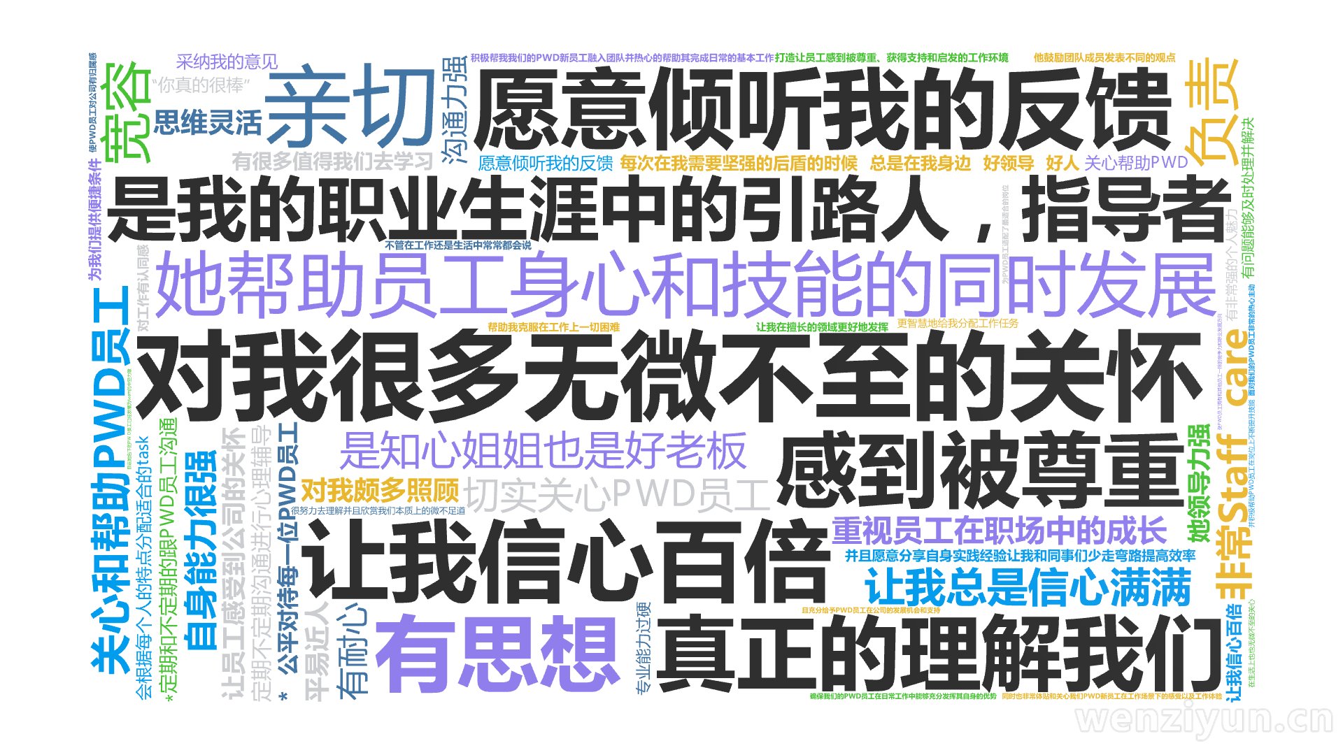 对我很多无微不至的关怀,是我的职业生涯中的引路人，指导者,让我信心百倍,愿意倾听我的反馈,感到被尊重,真正的理解我们,关心和帮助PWD员工,,文字词云图-wenziyun.cn