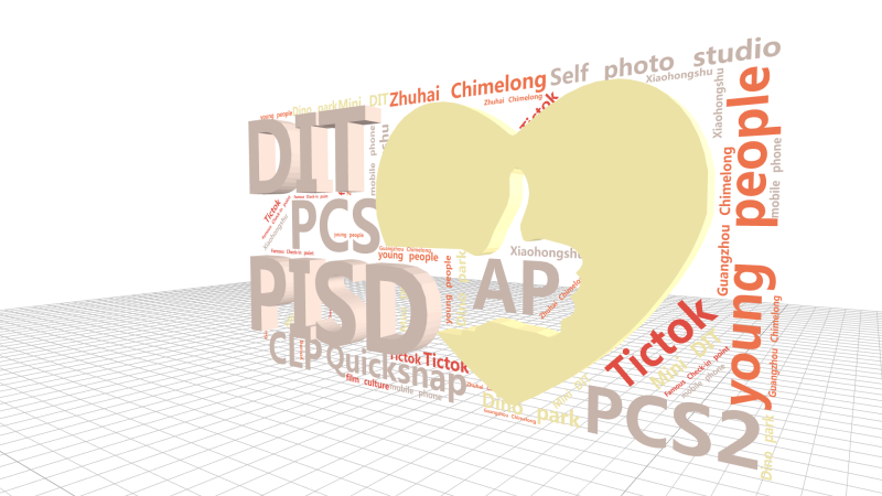 PISD,DIT,PCS,PCS2,Quicksnap,AP,Self photo studio,CLP,young people,Tict,文字词云图-wenziyun.cn