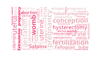 标签云:pregnancy ,gestation ,conception ,fertilization ,urine,uterine,uterus,
