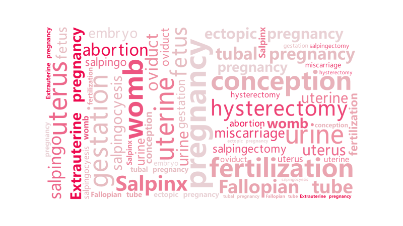 pregnancy ,gestation ,conception ,fertilization ,urine,uterine,uterus,,文字词云图-wenziyun.cn