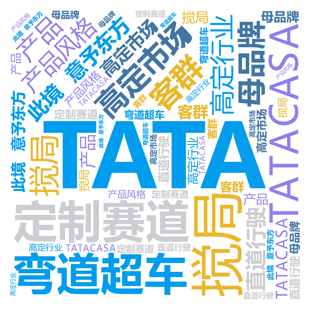 TATA,此境·意予东方,TATACASA,搅局,高定市场,定制赛道,高定行业,产品风格,客群,母品牌,直道行驶,弯道超车,产品,文字词云图-wenziyun.cn