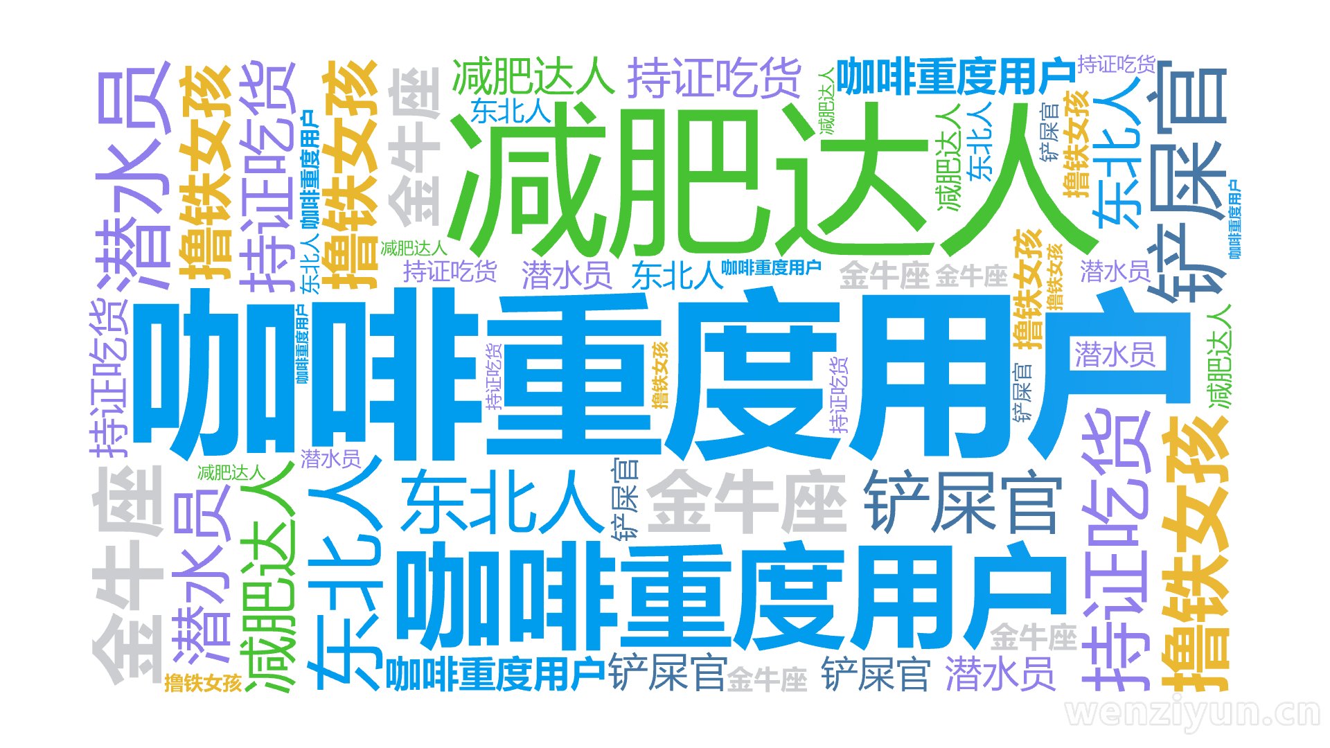 咖啡重度用户,持证吃货,撸铁女孩,减肥达人,铲屎官,金牛座,东北人,潜水员,文字词云图-wenziyun.cn