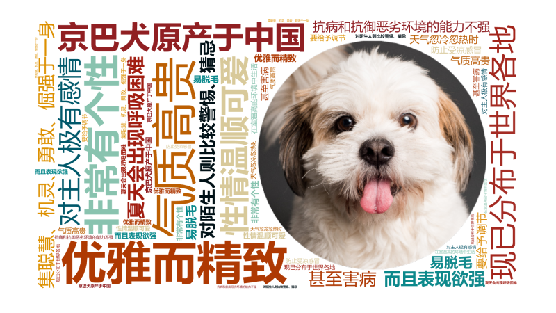 京巴犬原产于中国,现已分布于世界各地,优雅而精致,气质高贵,集聪慧、机灵、勇敢、倔强于一身,性情温顺可爱,非常有个性,而且表现欲强,对主人极,文字词云图-wenziyun.cn