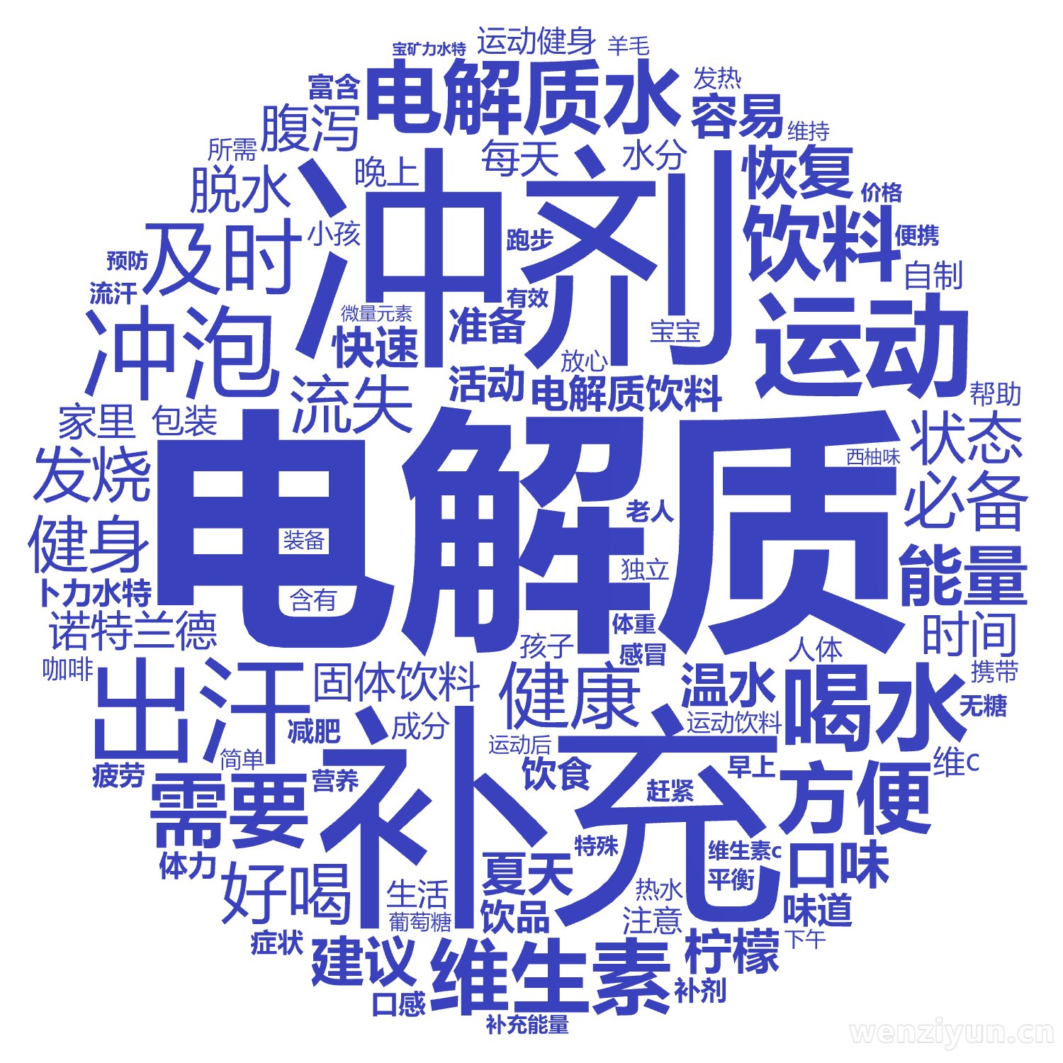 电解质,冲剂,补充,电解质水,运动,出汗,冲泡,喝水,维生素,饮料,及时,需要,方便,健康,好喝,能量,电解质饮料,诺特兰德,必备,流失,健,文字词云图-wenziyun.cn