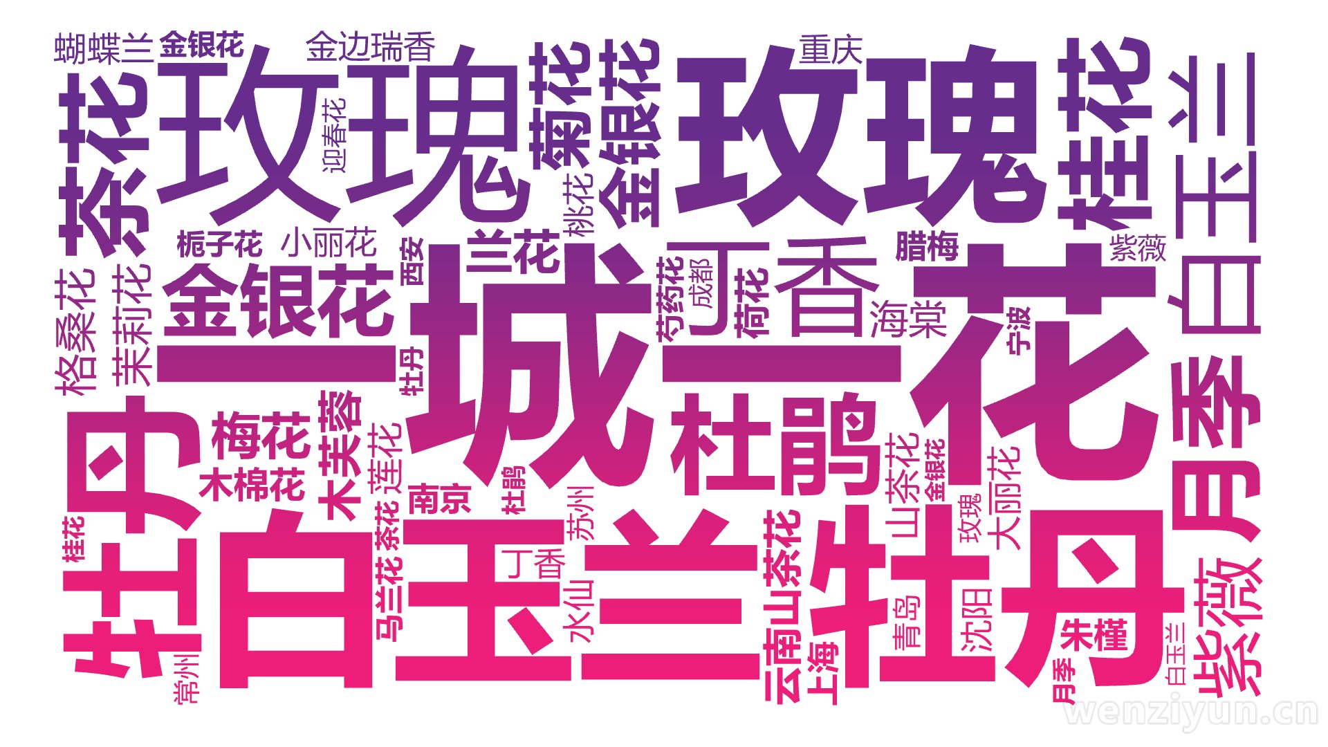 一城一花,牡丹,玫瑰,白玉兰,牡丹,玫瑰,白玉兰,茶花,月季,桂花,金银花,杜鹃,金银花,丁香,紫薇,菊花,格桑花,云南山茶花,木芙蓉,木棉,文字词云图-wenziyun.cn