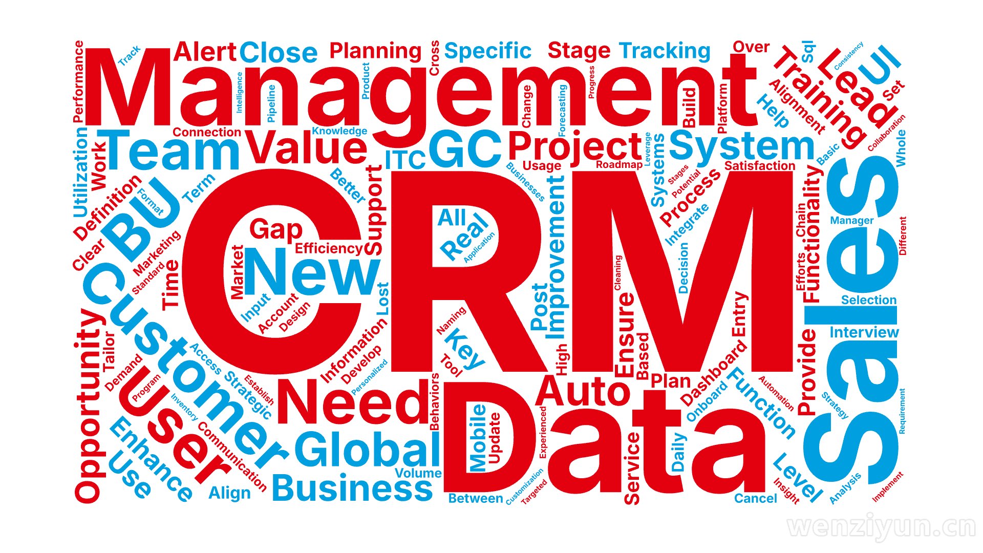 CRM,Sales,Management,Data,Customer,Need,Opportunity,User,Training,New,,文字词云图-wenziyun.cn