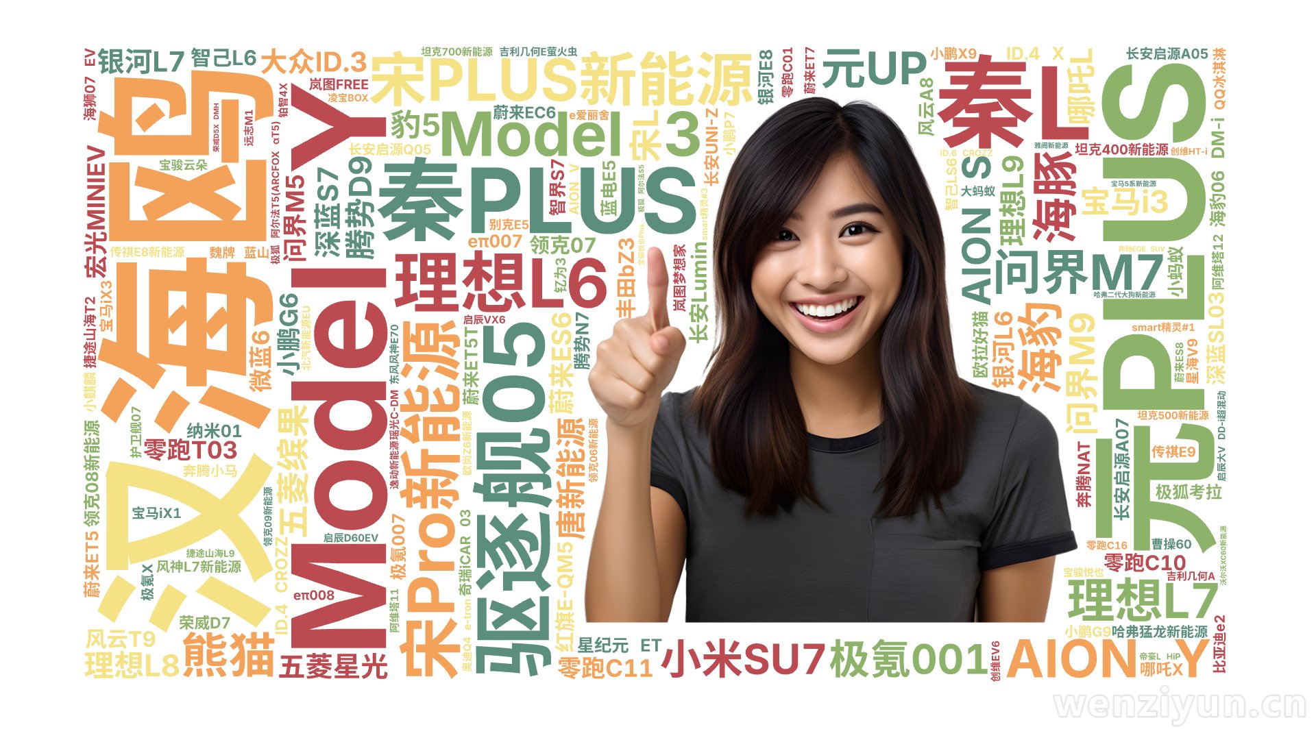 Model Y,秦PLUS,海鸥,宋PLUS新能源,元PLUS,理想L6,驱逐舰05,宋Pro新能源,汉,Model 3,秦L,问界M7,A,文字词云图-wenziyun.cn