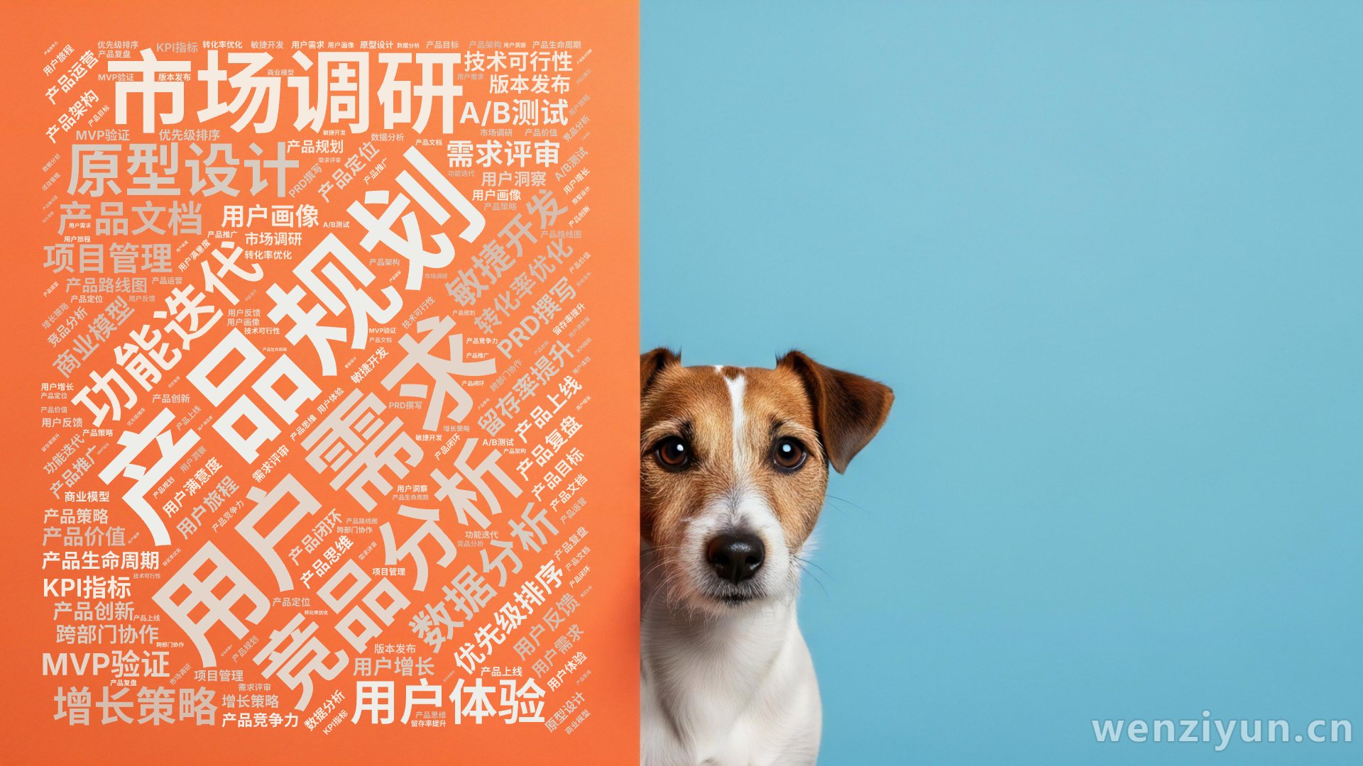 产品规划  ,用户需求  ,市场调研  ,竞品分析  ,原型设计  ,功能迭代  ,用户体验  ,数据分析  ,增长策略  ,产品文档  ,,文字词云图-wenziyun.cn