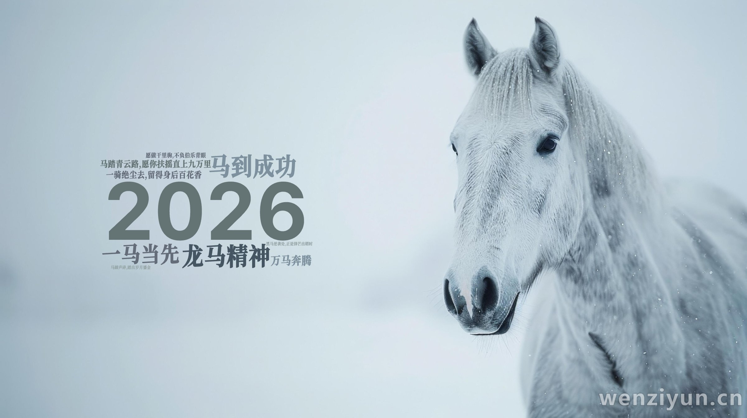 2026,马到成功,龙马精神,马踏青云路,愿你扶摇直上九万里,一骑绝尘去,留得身后百花香,一马当先,万马奔腾,愿做干里驹,不负伯乐青眼,马蹄,文字词云图-wenziyun.cn