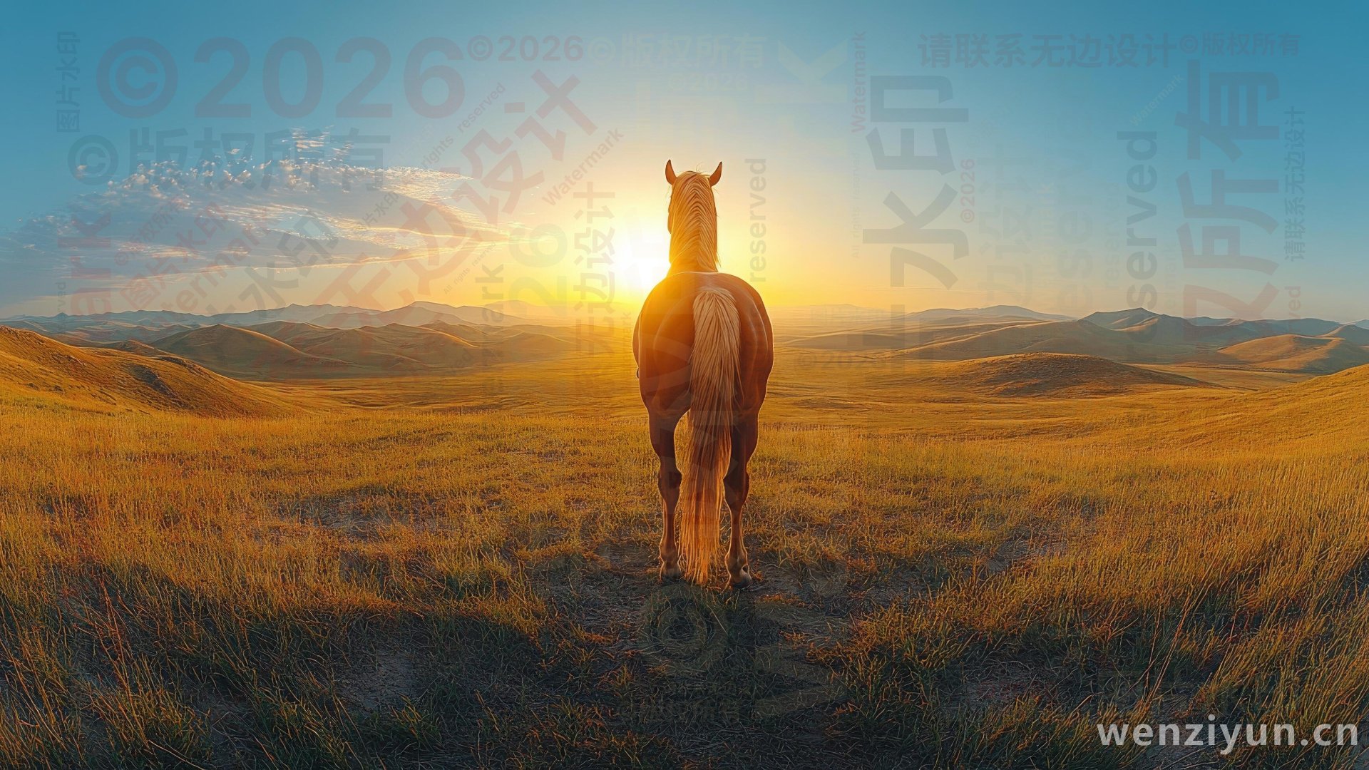 &copy;版权所有,请联系无边设计,&copy;2026,All rights reserved,图片水印,Watermark,文字词云图-wenziyun.cn
